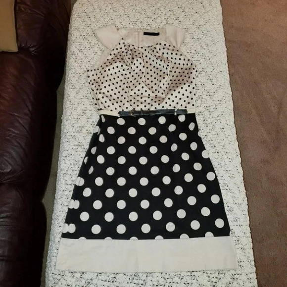 The Limited 10 black/white polka dot belted dress - Picture 4 of 6